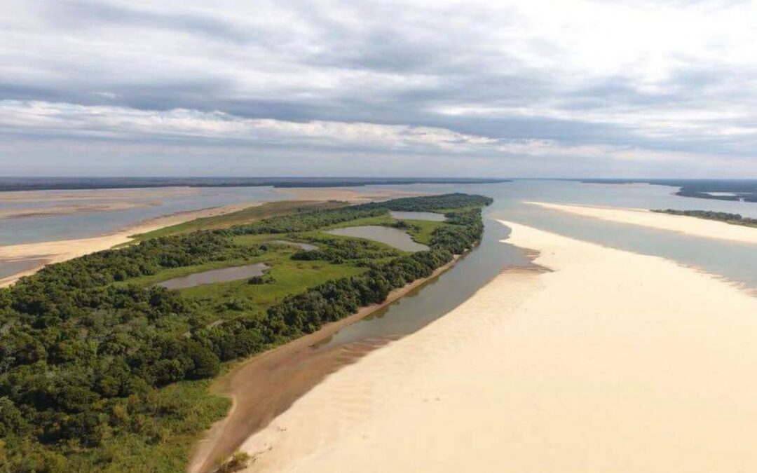 Reunión por depredación de peces y bajante extraordinaria del río Paraná
